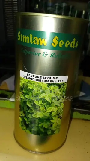 Pasture Legume Desmodium Green Leaf Seeds - 500 Grams