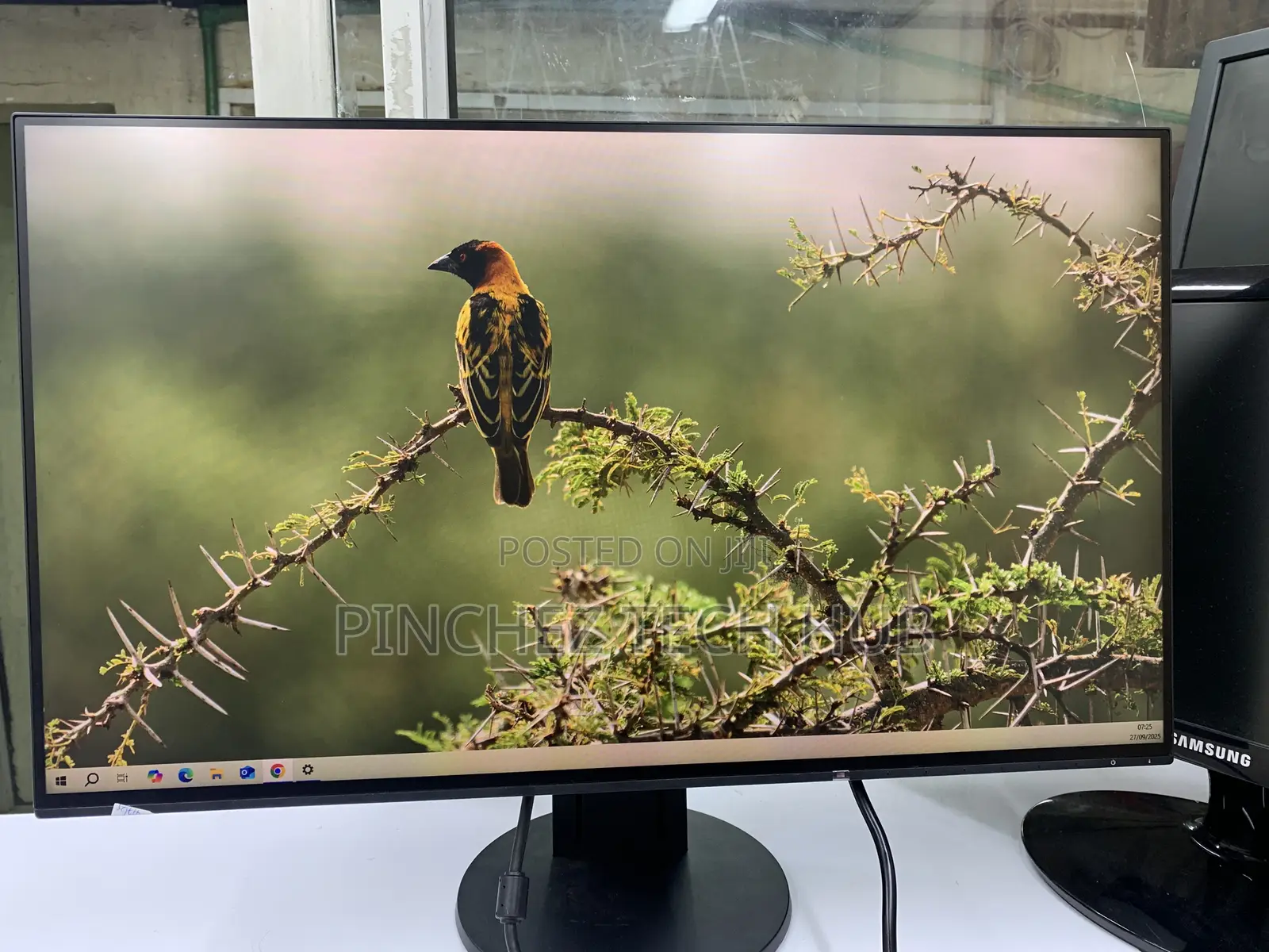 Eizo 24 Inches Monitor