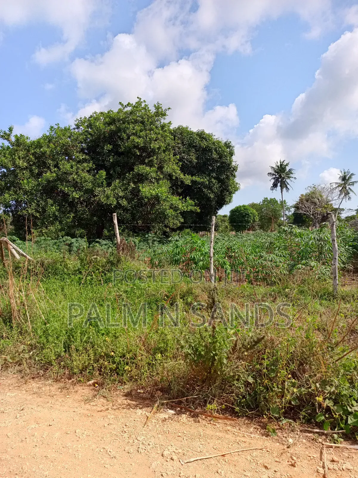 1/4 Acre on Sale in Diani