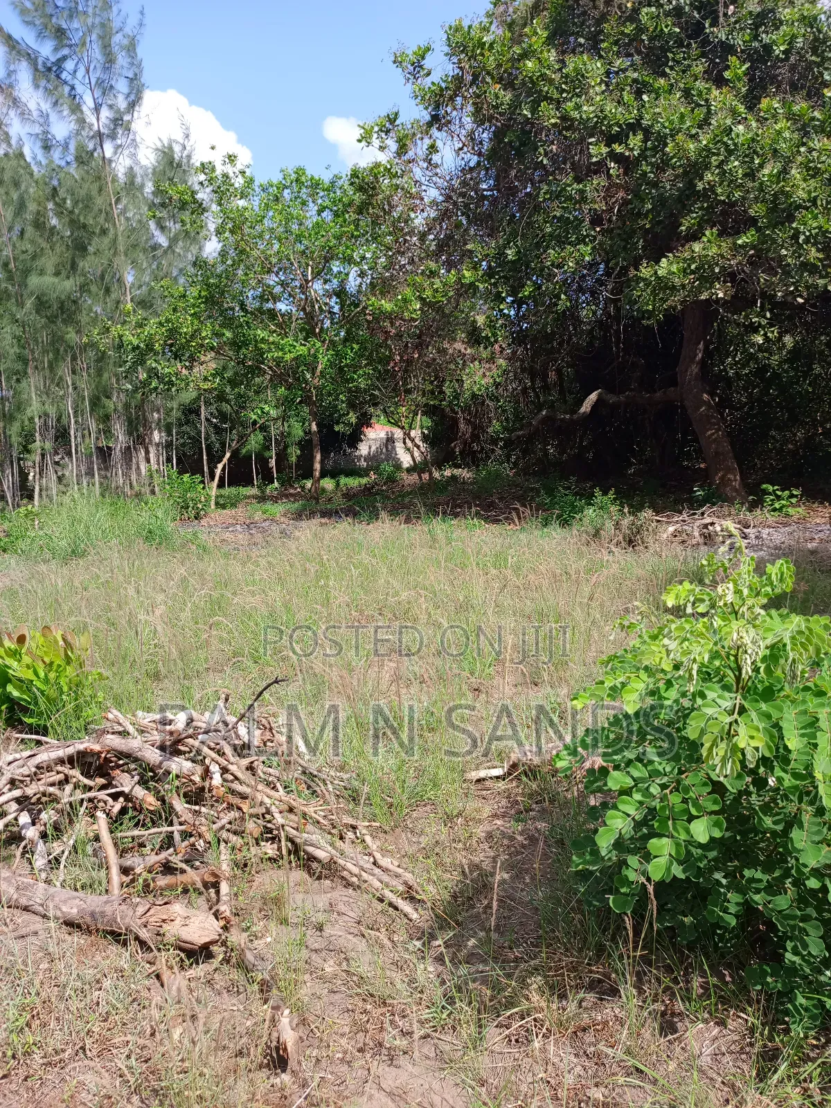 1/4 Acre on Sale in Diani