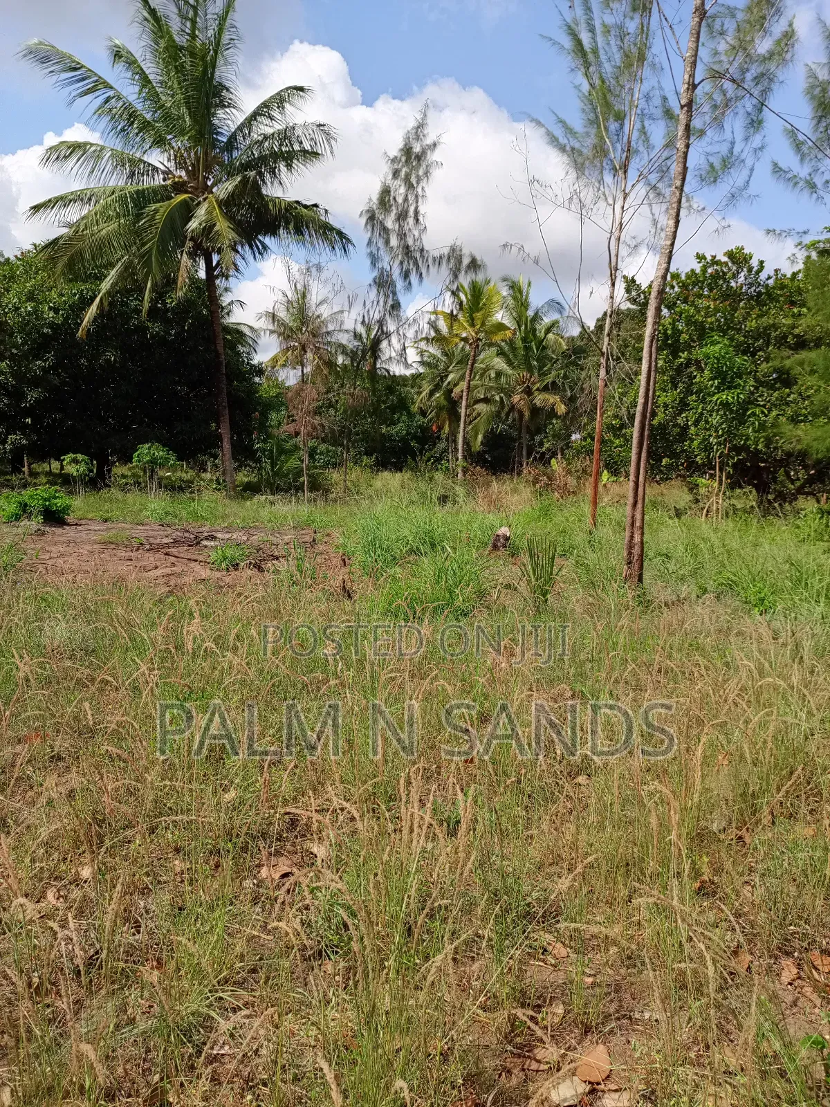 1/4 Acre on Sale in Diani