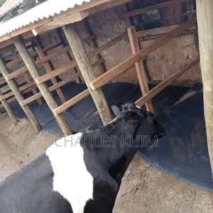 Cow Mattress