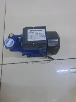 Premier Qb60 Booster Pump