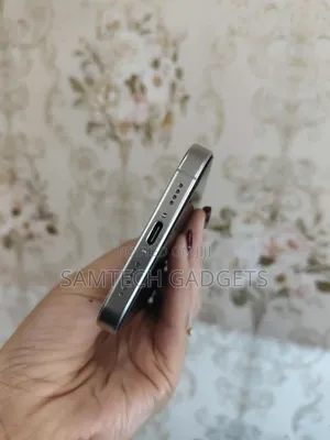 New Apple iPhone 16 Pro Max 256 GB Silver
