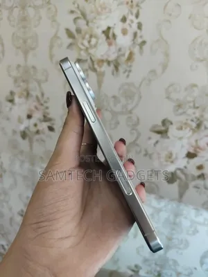 New Apple iPhone 16 Pro Max 256 GB Silver