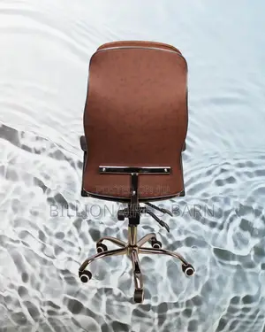 Pro-Grade Ergonomic Executive Leather Chair | Adjustable Height