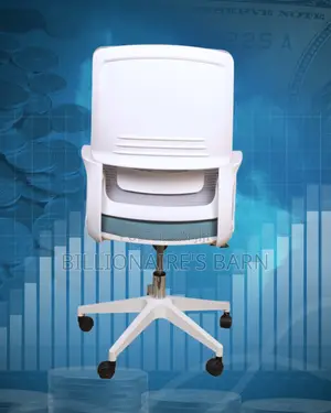 White Ergonomic Mesh Office Chair (Modern) — Restocked!