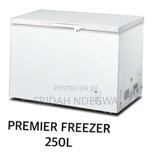 Premier 250 Litres Freezer