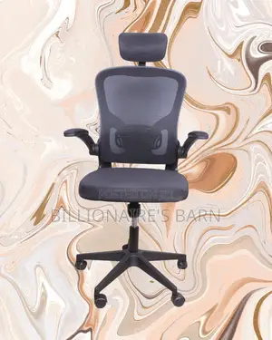 Grey Ergonomic Office Chair (Breathable) — Restocked!