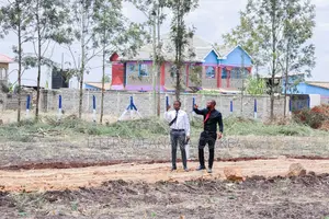 Kamulu Plots - Sw