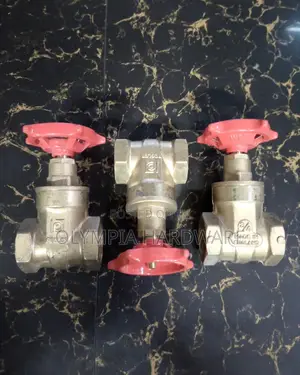 Gate Valve 1/2 Pegler