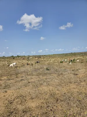 Malindi Plots