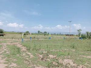 Hills View