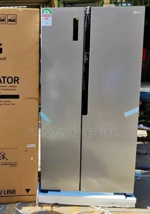 Good Working Lg 519 Side by Side Fridge