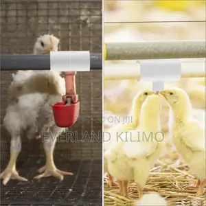 Compact Poultry Drinker Plus Connector