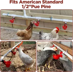 Adaptable Poultry Drinker Plus Connector