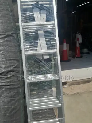 Aluminium Ladder