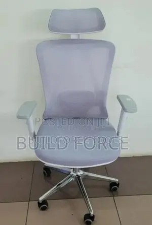 Ergonomic Office Chair