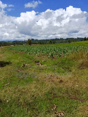 10 Acres Murungaru