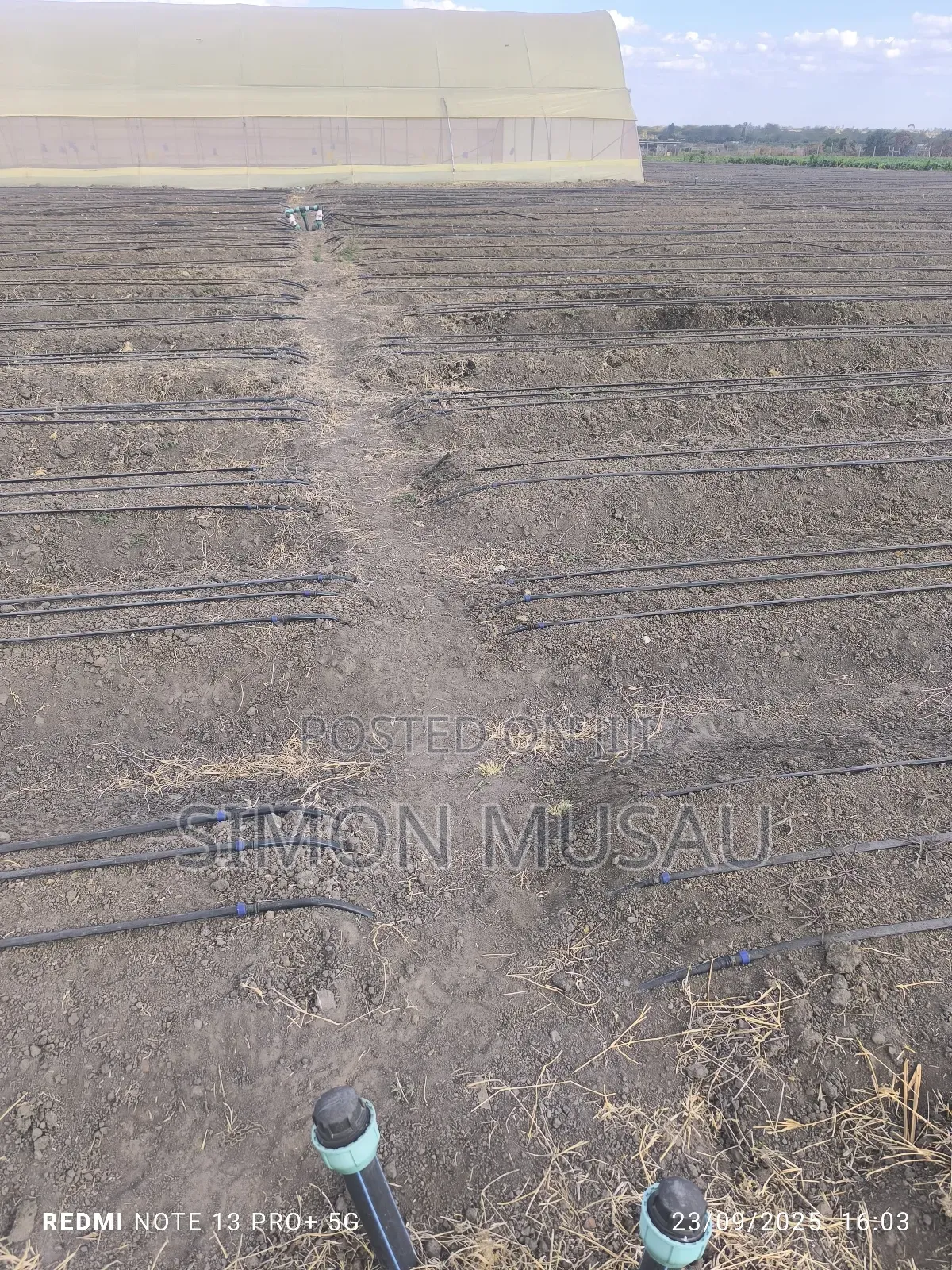 Drip Irrigation Supply and Installation