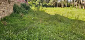 Commercial 1⁄4 Plot for Sale in Kimumu Eldoret
