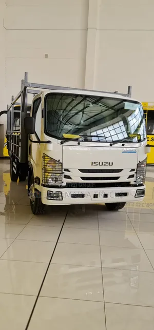 Isuzu Nqr (Hardware Body)