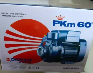 Authentic Pedrollo Water Pump/0.5hp Surface Pump