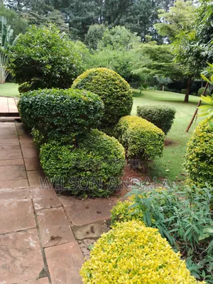 Gardening Landscaping