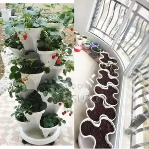 Smart Irrigation