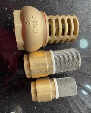 Foot Valve 3''