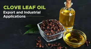 Clove Oil Available