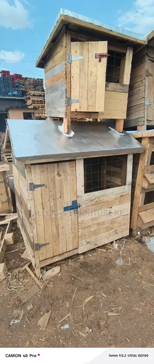 Safe Dog Kennel