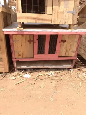 Spacious Rabbit House 🏠