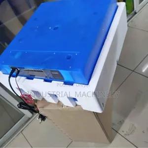 Egg Incubator Original 64eggs