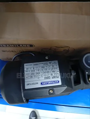 Astramilano Electric Motor Pump
