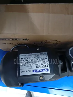 Electric Motor Pump Engine (Astramilano)