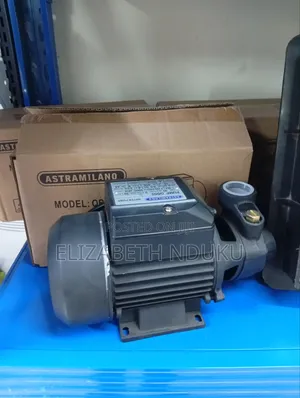 High Quality Astramilano Electric Water Pump
