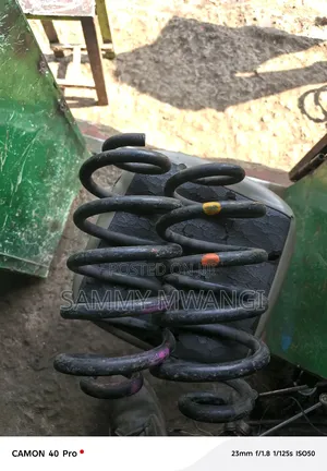 Toyota Probox Rear Spring Each