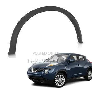 Nissan Juke Door Moulding Fender