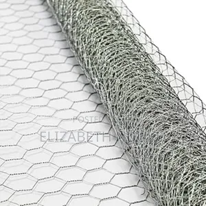 Galvanized Chicken Wire Mesh