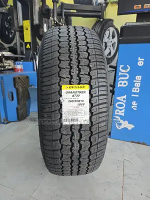 265/55r19 Dunlop Grandtrek Tire
