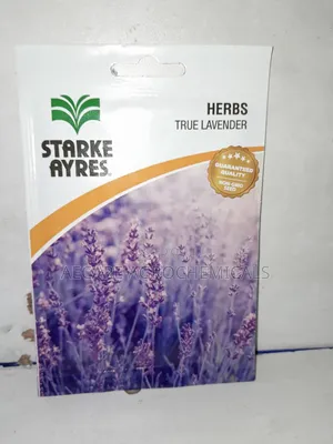 True Lavender Herb Seeds 1 Gram