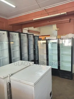 Perfect Available Chiller Deep Freezer