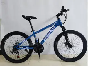 Premier Mountain Bike Size 24 18 Speed Blue