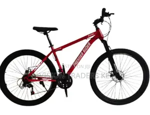 Premier Mountain Bike Size 24" 18 Speed Red