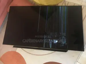 Broken Screen Oled Lg 65c8 65”