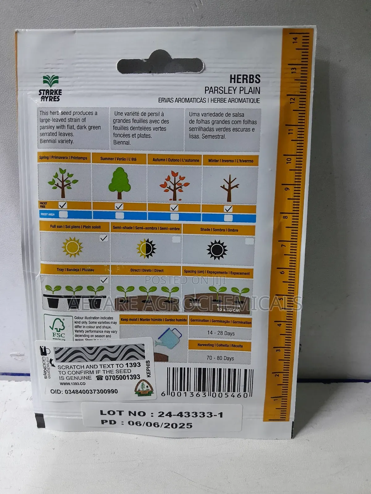 Parsley Herb Plain Seeds 4 Grams