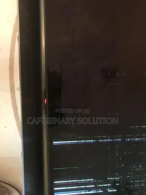 Broken Screen Oled Lg 65c8 65”