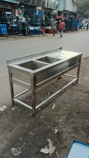 Double Sink Stainless