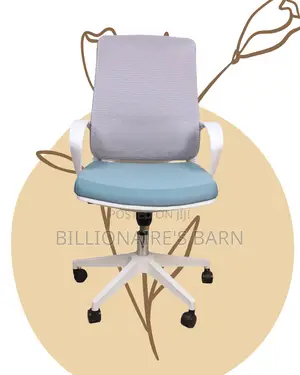 Premium White Ergonomic Mesh Office Chair — Smooth-Rolling Mobility